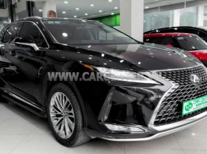 Xe Lexus RX 300 2020