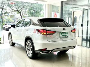 Xe Lexus RX 300 2022