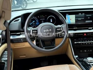 Xe Kia Carnival Premium 2.2D 8S 2024