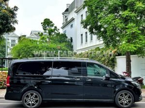 Xe Mercedes Benz V250 AMG 2023
