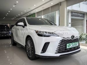 Xe Lexus RX 350 Luxury 2024