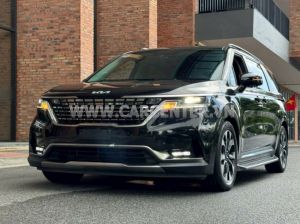 Xe Kia Carnival Premium 2.2D 7S 2023