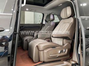 Xe Volkswagen Viloran Luxury 2024
