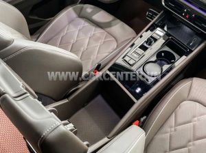 Xe Volkswagen Viloran Luxury 2024