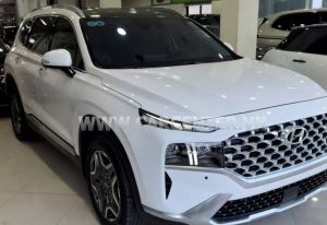 Xe Hyundai SantaFe Cao cấp 2.5L HTRAC 2024