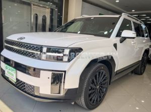 Xe Hyundai SantaFe Calligraphy 2.5L HTRAC 6S 2024