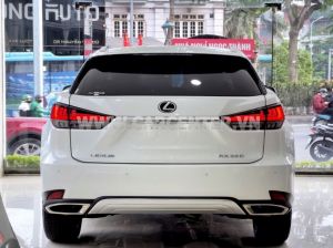 Xe Lexus RX 300 2021