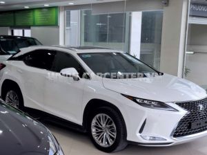 Xe Lexus RX 300 2021