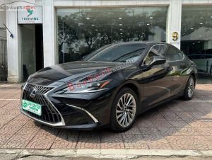 Xe Lexus ES 250 2023
