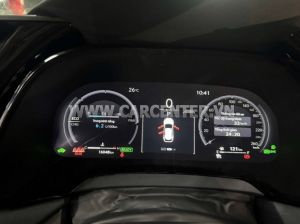 Xe Lexus RX 350h Luxury 2025