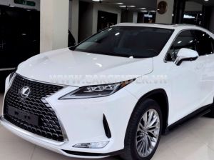Xe Lexus RX 300 2021