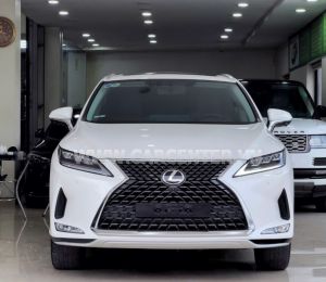 Xe Lexus RX 300 2021