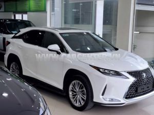 Xe Lexus RX 300 2021