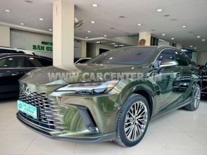Xe Lexus RX 350h Luxury 2025