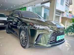 Xe Lexus RX 350h Luxury 2025