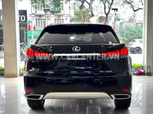 Xe Lexus RX 300 2019