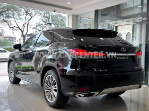 Xe Lexus RX 300 2019