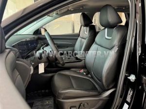 Xe Hyundai Tucson 2.0 AT CRDi Đặc biệt 2024
