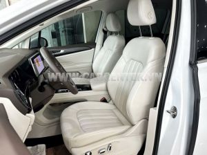 Xe Volkswagen Viloran Premium 2024