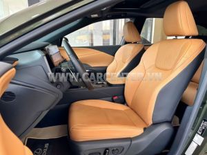 Xe Lexus RX 350h Premium 2025