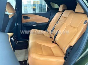 Xe Lexus RX 350h Premium 2025