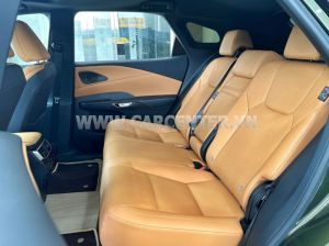 Xe Lexus RX 350h Premium 2025