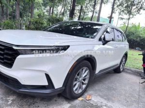 Xe Honda CRV L 2025